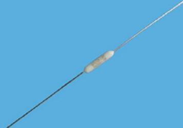 TL 系列 (陶瓷管狀,5A 250V)